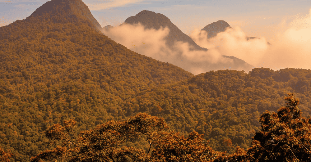 3 Đỉnh thuộc núi Thạch Bàn, Thiên Thị và Phù Nghĩa thu hút nhiều du khách tới chinh phục và tham quan